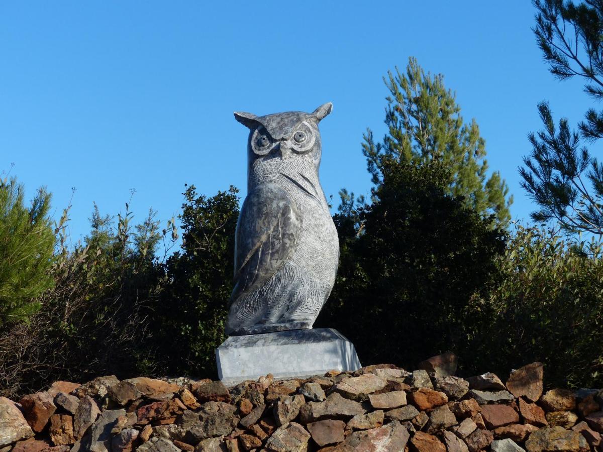 Вилла L'Incarnat Caunes-Minervois Экстерьер фото